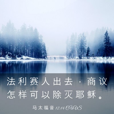 Picture 03 - 马 太 福 音 12:14 CUVS - 法 利 赛 人 出 去 ， 商 议 怎 样 可 - Bible Verse Picture
