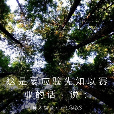 Picture 03 - 马 太 福 音 12:17 CUVS - 这 是 要 应 验 先 知 以 赛 亚 的 话 - Bible Verse Picture