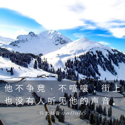 Picture 03 - 马 太 福 音 12:19 CUVS - 他 不 争 竞 ， 不 喧 嚷 ； 街 上 也 - Bible Verse Picture