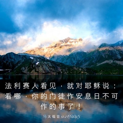 Picture 03 - 马 太 福 音 12:2 CUVS - 法 利 赛 人 看 见 ， 就 对 耶 稣 说 - Bible Verse Picture
