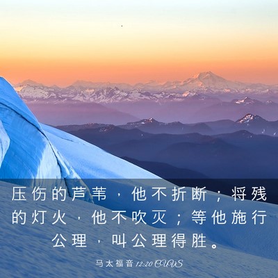 Picture 03 - 马 太 福 音 12:20 CUVS - 压 伤 的 芦 苇 ， 他 不 折 断 ； 将 - Bible Verse Picture