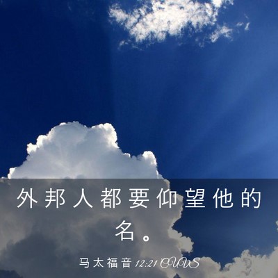 Picture 03 - 马 太 福 音 12:21 CUVS - 外 邦 人 都 要 仰 望 他 的 名 - Bible Verse Picture