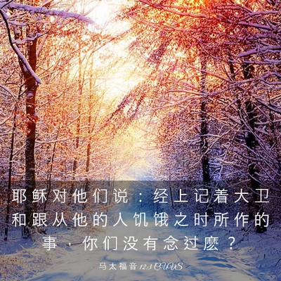 Picture 03 - 马 太 福 音 12:3 CUVS - 耶 稣 对 他 们 说 ： 经 上 记 着 大 - Bible Verse Picture