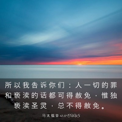 Picture 03 - 马 太 福 音 12:31 CUVS - 所 以 我 告 诉 你 们 ： 人 一 切 的 - Bible Verse Picture