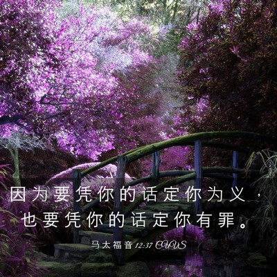 Picture 03 - 马 太 福 音 12:37 CUVS - 因 为 要 凭 你 的 话 定 你 为 义 ， - Bible Verse Picture