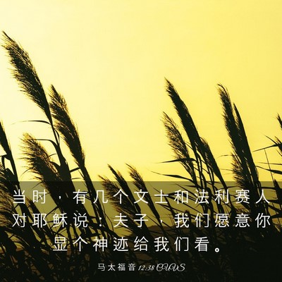Picture 03 - 马 太 福 音 12:38 CUVS - 当 时 ， 有 几 个 文 士 和 法 利 赛 - Bible Verse Picture