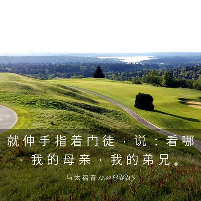 Picture 03 - 马 太 福 音 12:49 CUVS - 就 伸 手 指 着 门 徒 ， 说 ： 看 哪 - Bible Verse Picture
