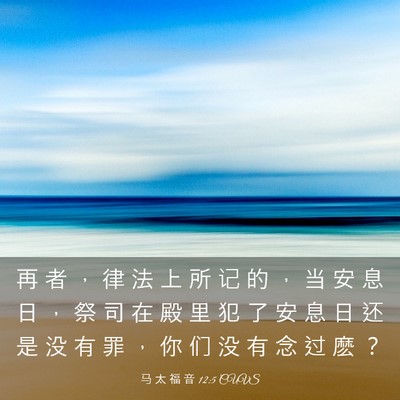 Picture 03 - 马 太 福 音 12:5 CUVS - 再 者 ， 律 法 上 所 记 的 ， 当 安 - Bible Verse Picture