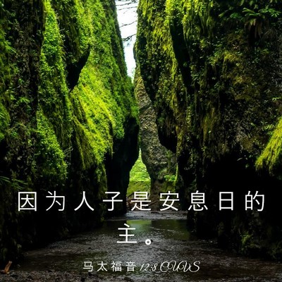 Picture 03 - 马 太 福 音 12:8 CUVS - 因 为 人 子 是 安 息 日 的 主 - Bible Verse Picture