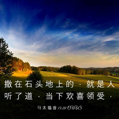 Picture 03 - 马 太 福 音 13:20 CUVS - 撒 在 石 头 地 上 的 ， 就 是 人 听 - Bible Verse Picture