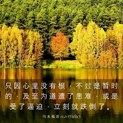 Picture 03 - 马 太 福 音 13:21 CUVS - 只 因 心 里 没 有 根 ， 不 过 是 暂 - Bible Verse Picture