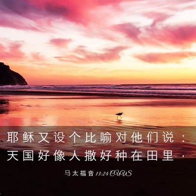 Picture 03 - 马 太 福 音 13:24 CUVS - 耶 稣 又 设 个 比 喻 对 他 们 说 ： - Bible Verse Picture