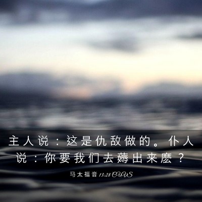 Picture 03 - 马 太 福 音 13:28 CUVS - 主 人 说 ： 这 是 仇 敌 做 的 。 仆 - Bible Verse Picture
