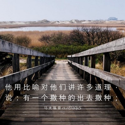 Picture 03 - 马 太 福 音 13:3 CUVS - 他 用 比 喻 对 他 们 讲 许 多 道 理 - Bible Verse Picture