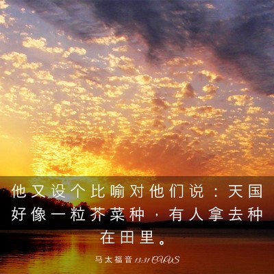 Picture 03 - 马 太 福 音 13:31 CUVS - 他 又 设 个 比 喻 对 他 们 说 ： 天 - Bible Verse Picture