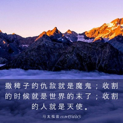 Picture 03 - 马 太 福 音 13:39 CUVS - 撒 稗 子 的 仇 敌 就 是 魔 鬼 ； 收 - Bible Verse Picture