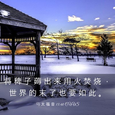 Picture 03 - 马 太 福 音 13:40 CUVS - 将 稗 子 薅 出 来 用 火 焚 烧 ， 世 - Bible Verse Picture