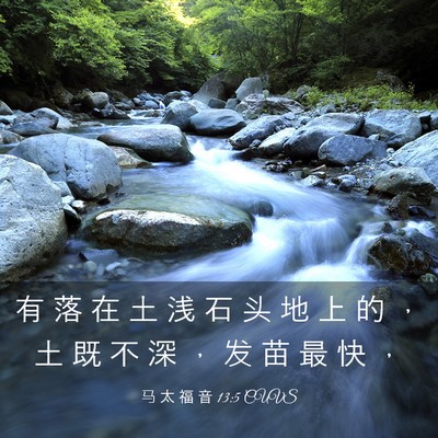 Picture 03 - 马 太 福 音 13:5 CUVS - 有 落 在 土 浅 石 头 地 上 的 ， 土 - Bible Verse Picture