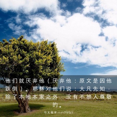 Picture 03 - 马 太 福 音 13:57 CUVS - 他 们 就 厌 弃 他 （ 厌 弃 他 ： 原 - Bible Verse Picture