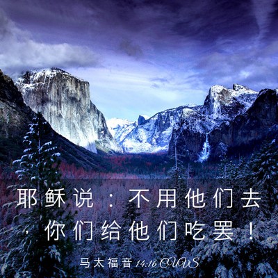 Picture 03 - 马 太 福 音 14:16 CUVS - 耶 稣 说 ： 不 用 他 们 去 ， 你 们 - Bible Verse Picture