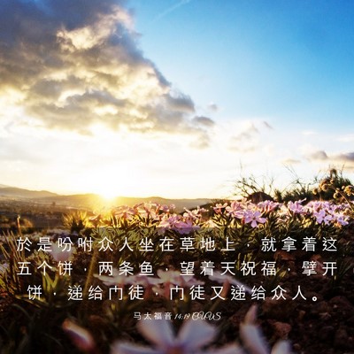 Picture 03 - 马 太 福 音 14:19 CUVS - 於 是 吩 咐 众 人 坐 在 草 地 上 ， - Bible Verse Picture