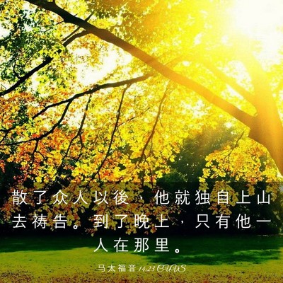 Picture 03 - 马 太 福 音 14:23 CUVS - 散 了 众 人 以 後 ， 他 就 独 自 上 - Bible Verse Picture