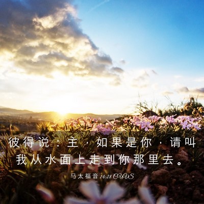 Picture 03 - 马 太 福 音 14:28 CUVS - 彼 得 说 ： 主 ， 如 果 是 你 ， 请 - Bible Verse Picture