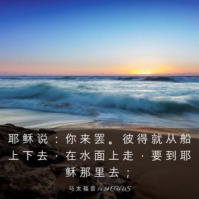 Picture 03 - 马 太 福 音 14:29 CUVS - 耶 稣 说 ： 你 来 罢 。 彼 得 就 从 - Bible Verse Picture