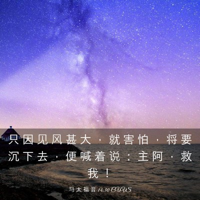 Picture 03 - 马 太 福 音 14:30 CUVS - 只 因 见 风 甚 大 ， 就 害 怕 ， 将 - Bible Verse Picture
