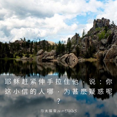 Picture 03 - 马 太 福 音 14:31 CUVS - 耶 稣 赶 紧 伸 手 拉 住 他 ， 说 ： - Bible Verse Picture