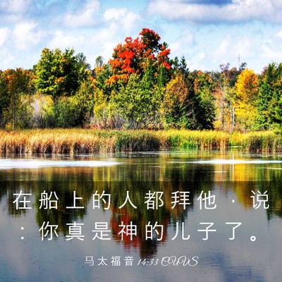 Picture 03 - 马 太 福 音 14:33 CUVS - 在 船 上 的 人 都 拜 他 ， 说 ： 你 - Bible Verse Picture