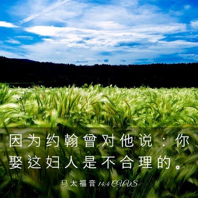 Picture 03 - 马 太 福 音 14:4 CUVS - 因 为 约 翰 曾 对 他 说 ： 你 娶 这 - Bible Verse Picture