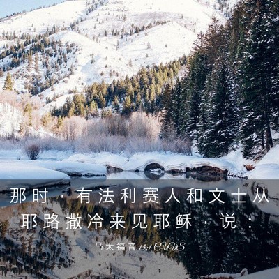 Picture 03 - 马 太 福 音 15:1 CUVS - 那 时 ， 有 法 利 赛 人 和 文 士 从 - Bible Verse Picture