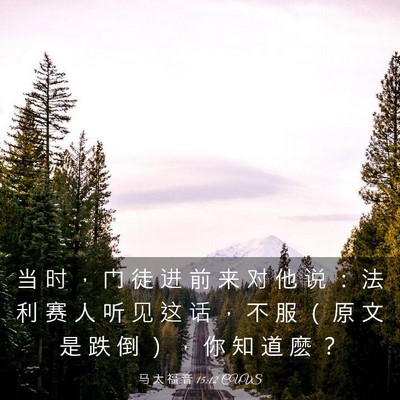 Picture 03 - 马 太 福 音 15:12 CUVS - 当 时 ， 门 徒 进 前 来 对 他 说 ： - Bible Verse Picture