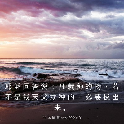 Picture 03 - 马 太 福 音 15:13 CUVS - 耶 稣 回 答 说 ： 凡 栽 种 的 物 ， - Bible Verse Picture