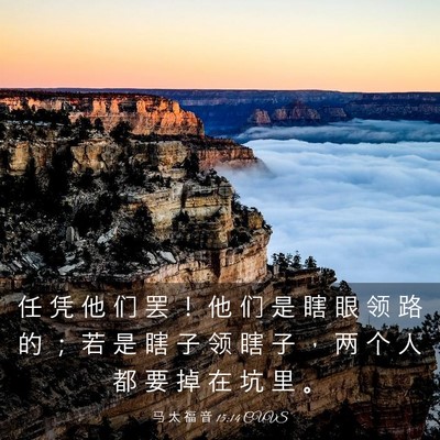 Picture 03 - 马 太 福 音 15:14 CUVS - 任 凭 他 们 罢 ！ 他 们 是 瞎 眼 领 - Bible Verse Picture