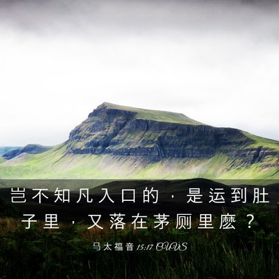 Picture 03 - 马 太 福 音 15:17 CUVS - 岂 不 知 凡 入 口 的 ， 是 运 到 肚 - Bible Verse Picture