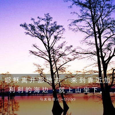 Picture 03 - 马 太 福 音 15:29 CUVS - 耶 稣 离 开 那 地 方 ， 来 到 靠 近 - Bible Verse Picture