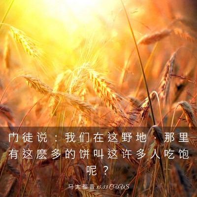 Picture 03 - 马 太 福 音 15:33 CUVS - 门 徒 说 ： 我 们 在 这 野 地 ， 那 - Bible Verse Picture