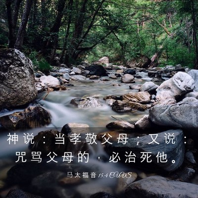 Picture 03 - 马 太 福 音 15:4 CUVS - 神 说 ： 当 孝 敬 父 母 ； 又 说 ： - Bible Verse Picture