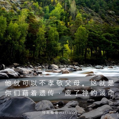 Picture 03 - 马 太 福 音 15:6 CUVS - 他 就 可 以 不 孝 敬 父 母 。 这 就 - Bible Verse Picture
