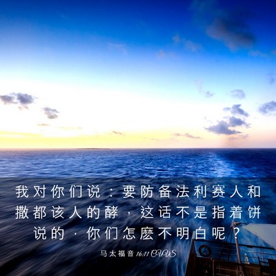 Picture 03 - 马 太 福 音 16:11 CUVS - 我 对 你 们 说 ： 要 防 备 法 利 赛 - Bible Verse Picture