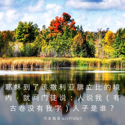Picture 03 - 马 太 福 音 16:13 CUVS - 耶 稣 到 了 该 撒 利 亚 腓 立 比 的 - Bible Verse Picture