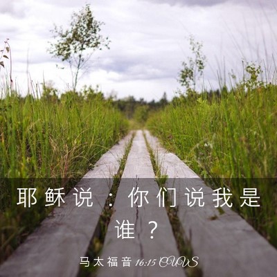 Picture 03 - 马 太 福 音 16:15 CUVS - 耶 稣 说 ： 你 们 说 我 是 谁 - Bible Verse Picture