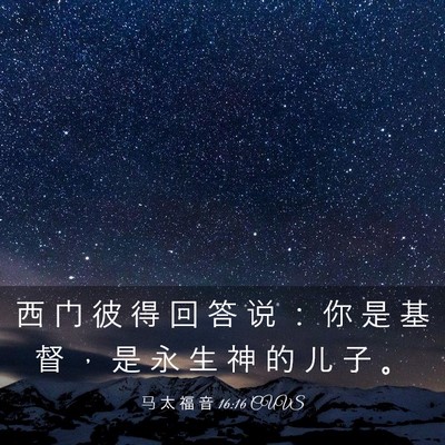Picture 03 - 马 太 福 音 16:16 CUVS - 西 门 彼 得 回 答 说 ： 你 是 基 督 - Bible Verse Picture