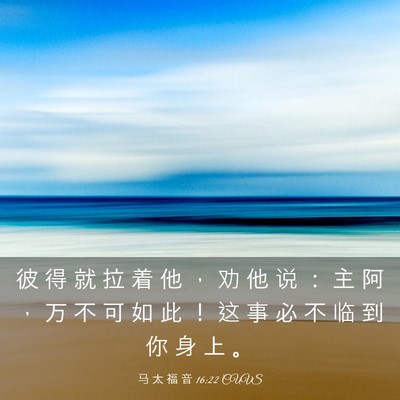 Picture 03 - 马 太 福 音 16:22 CUVS - 彼 得 就 拉 着 他 ， 劝 他 说 ： 主 - Bible Verse Picture