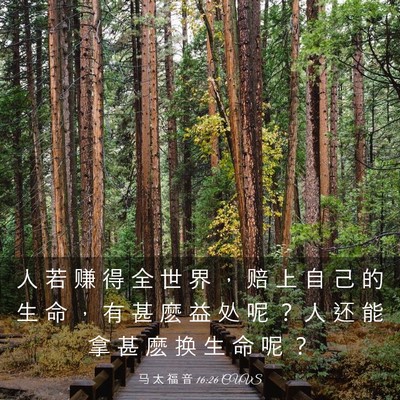Picture 03 - 马 太 福 音 16:26 CUVS - 人 若 赚 得 全 世 界 ， 赔 上 自 己 - Bible Verse Picture