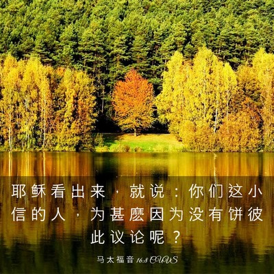 Picture 03 - 马 太 福 音 16:8 CUVS - 耶 稣 看 出 来 ， 就 说 ： 你 们 这 - Bible Verse Picture