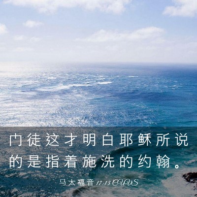 Picture 03 - 马 太 福 音 17:13 CUVS - 门 徒 这 才 明 白 耶 稣 所 说 的 是 - Bible Verse Picture