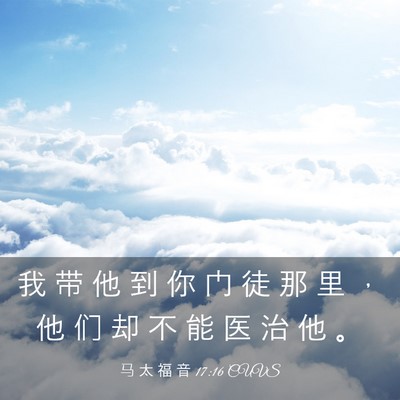 Picture 03 - 马 太 福 音 17:16 CUVS - 我 带 他 到 你 门 徒 那 里 ， 他 们 - Bible Verse Picture